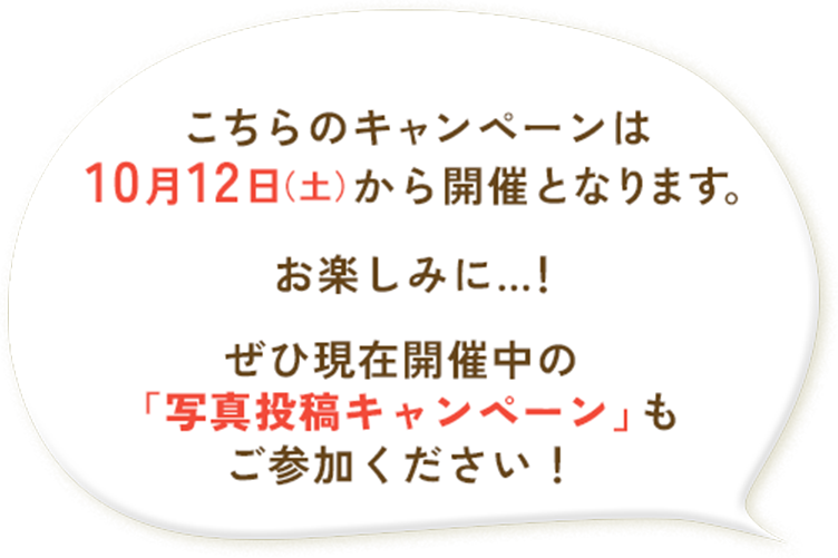 キャンペーン開催のお知らせ