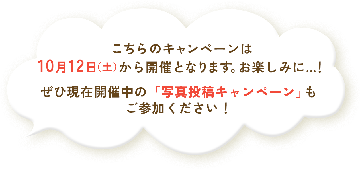 キャンペーン開催のお知らせ