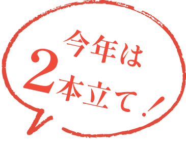 今年は2本立て!